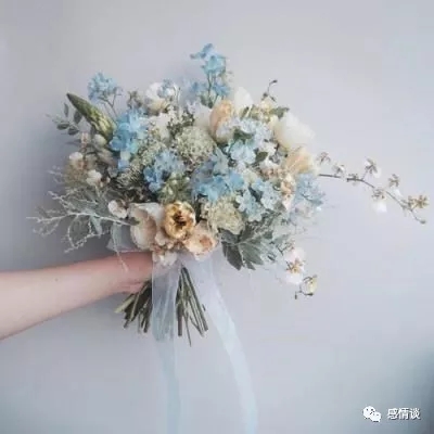“孤独树”走红，流量收益别忘分一点给村民